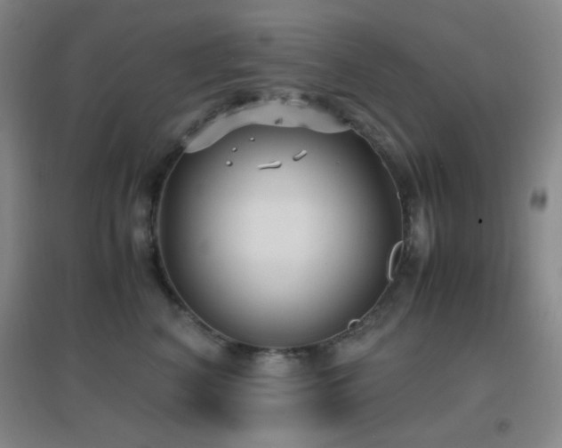 X0000096730616200802051442