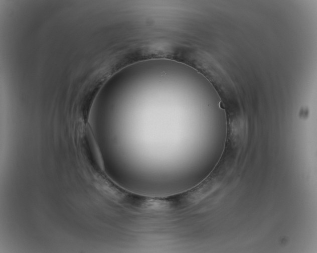 X0000096730617200802051442