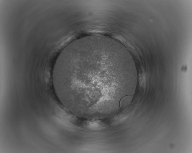 X0000096730618200802051442