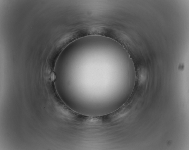 X0000096730619200802051442