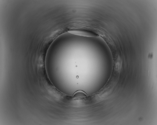 X0000096730620200802051442