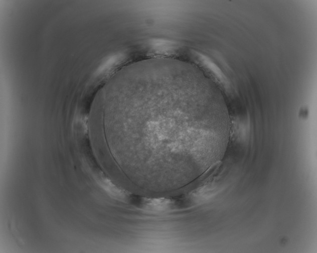 X0000096730621200802051442