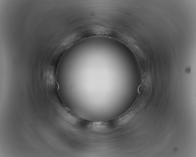 X0000096730622200802051442