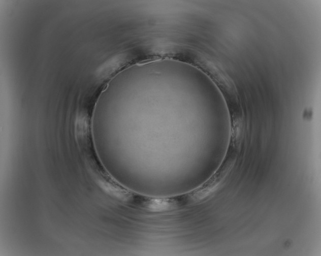 X0000096730623200802051442