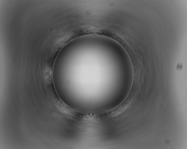 X0000096730624200802051442