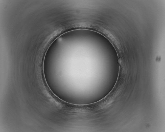 X0000096730625200802051441