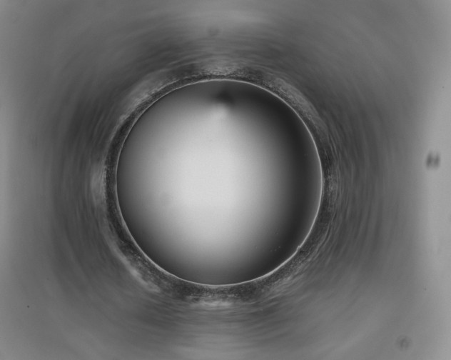X0000096730626200802051441