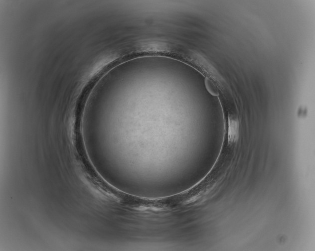 X0000096730627200802051441