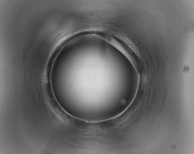 X0000096730628200802051441