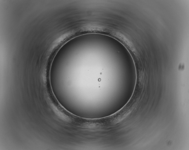 X0000096730629200802051441