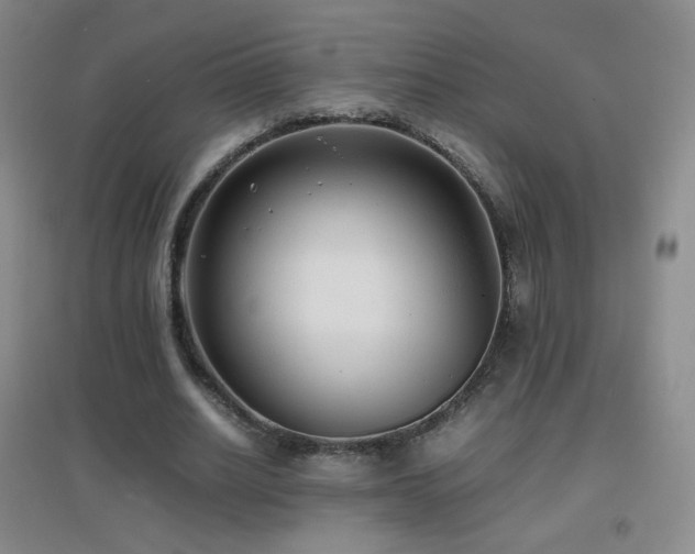 X0000096730630200802051441