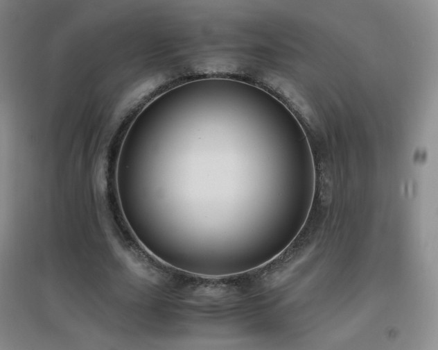 X0000096730631200802051441