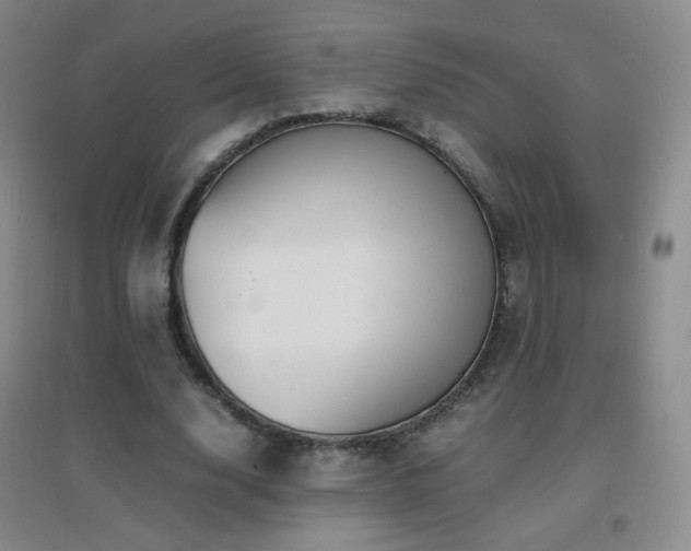 X0000096730632200802051441