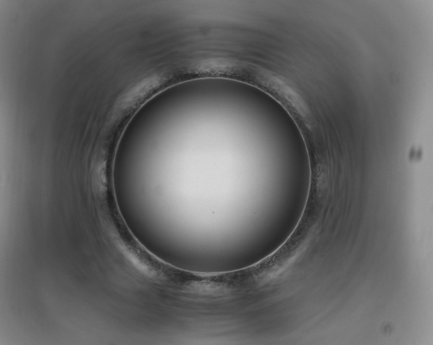 X0000096730633200802051441
