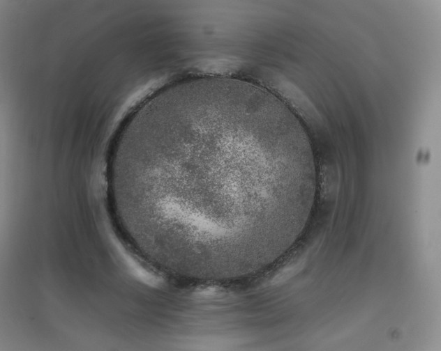 X0000096730634200802051441