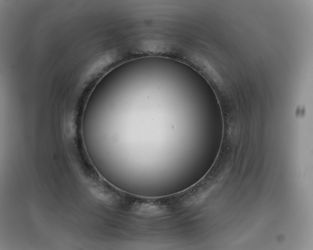 X0000096730635200802051441