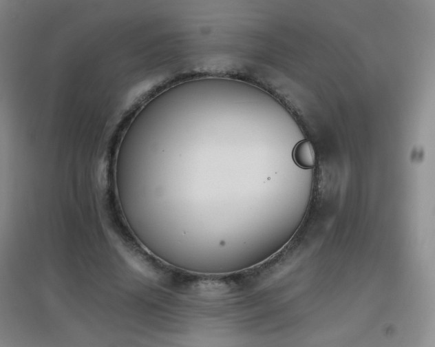 X0000096730636200802051441