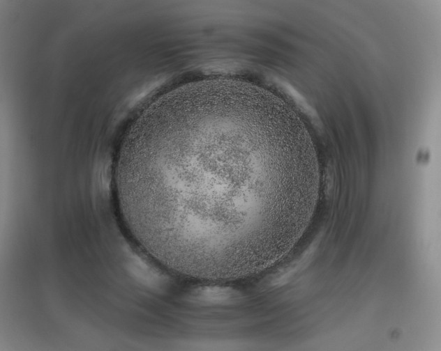 X0000096730637200802051441