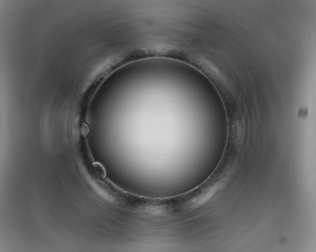 X0000096730638200802051441
