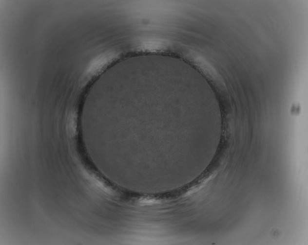 X0000096730640200802051441