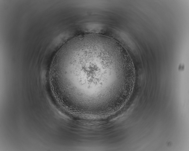 X0000096730641200802051441