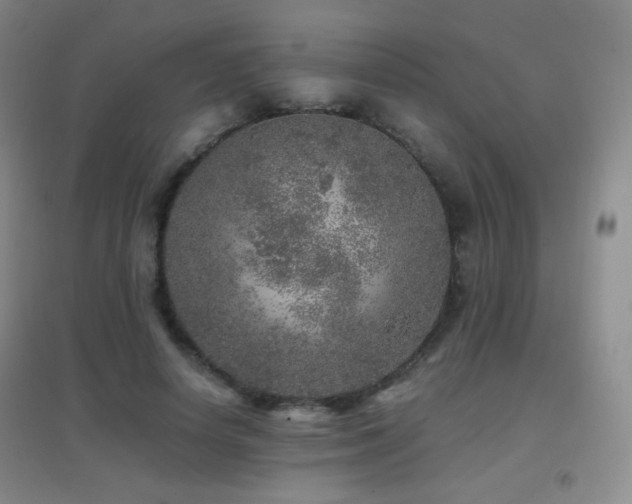 X0000096730642200802051441