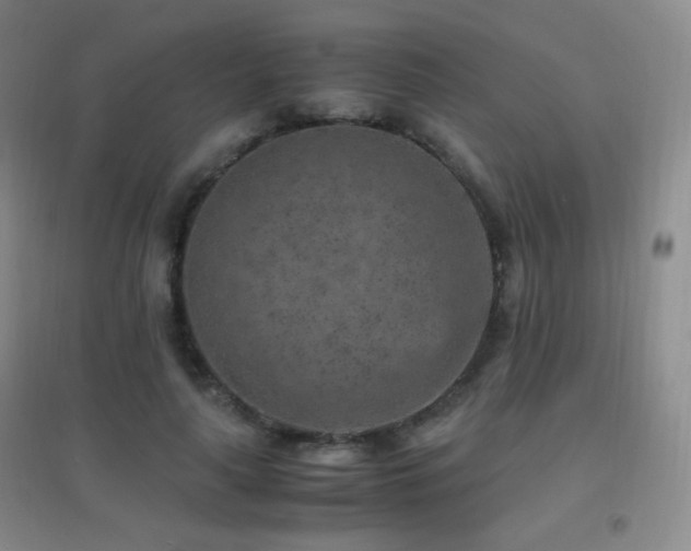 X0000096730643200802051441