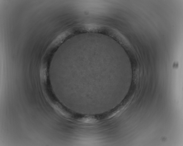 X0000096730644200802051441
