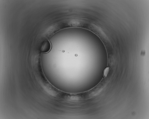 X0000096730645200802051441