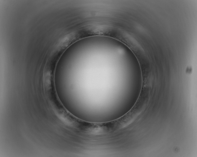 X0000096730646200802051441
