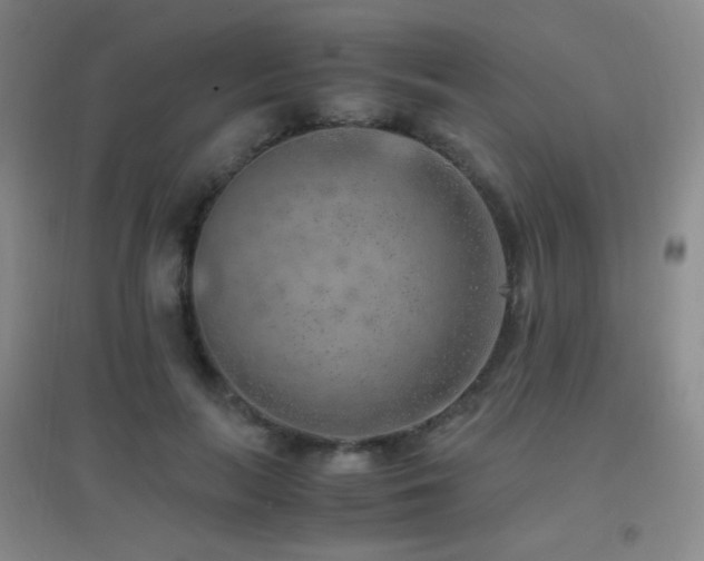X0000096730647200802051441
