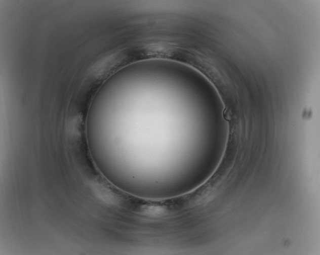 X0000096730649200802051441