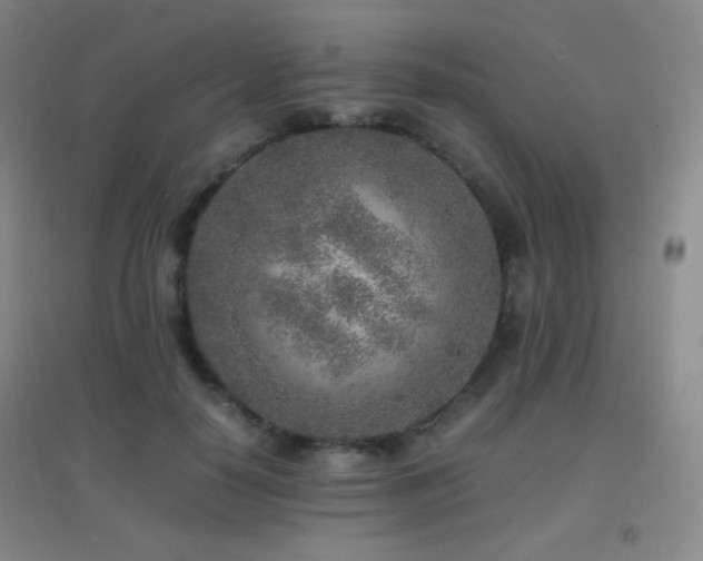 X0000096730650200802051441