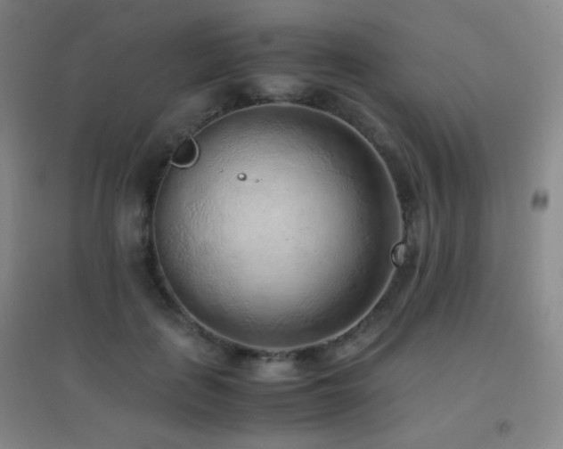 X0000096730651200802051441