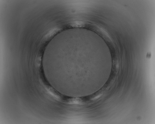 X0000096730652200802051441