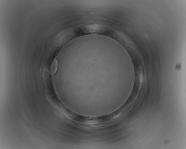 X0000096730653200802051441