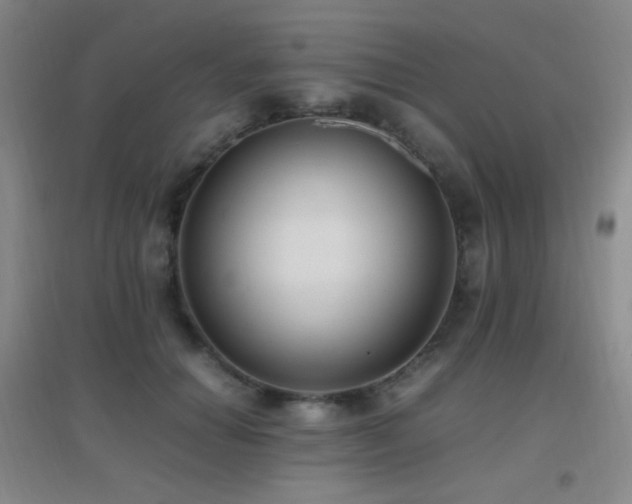 X0000096730654200802051441