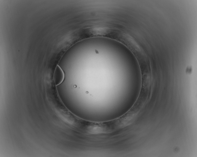 X0000096730655200802051441