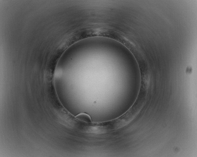 X0000096730657200802051441
