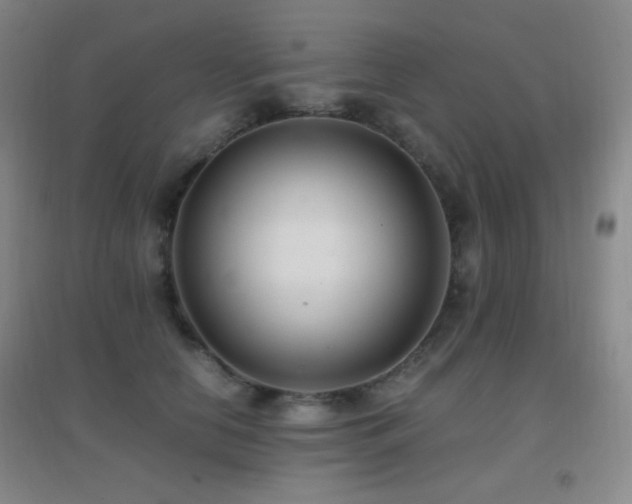 X0000096730658200802051441