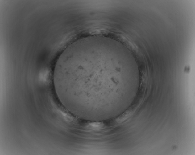 X0000096730659200802051441
