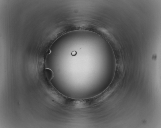 X0000096730660200802051441