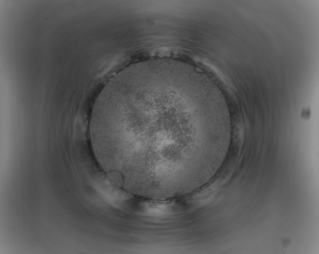 X0000096730661200802051441
