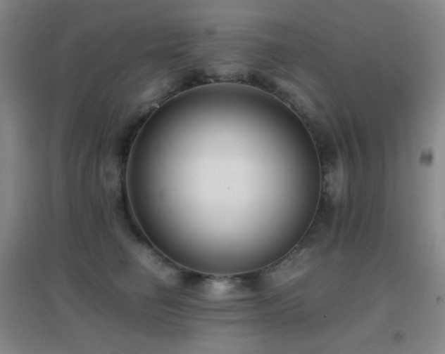 X0000096730662200802051441