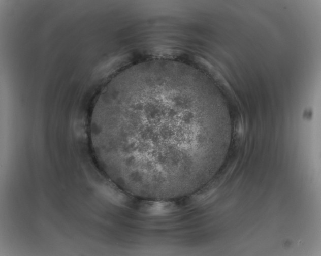 X0000096730663200802051441