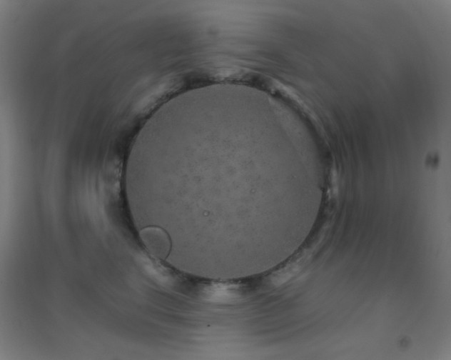 X0000096730664200802051441