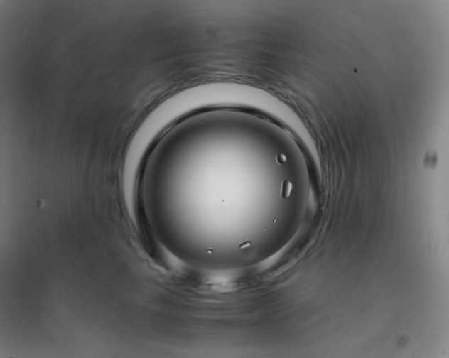 X0000096730665200802051441
