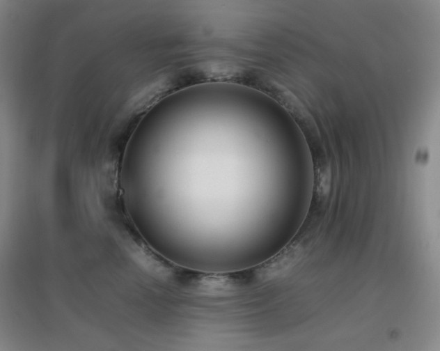 X0000096730666200802051441