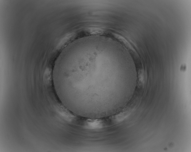X0000096730667200802051441