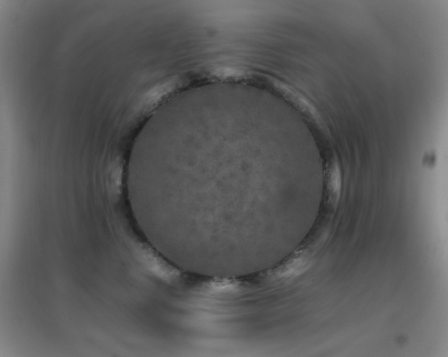 X0000096730668200802051441